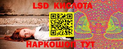 молекула духа Лесной