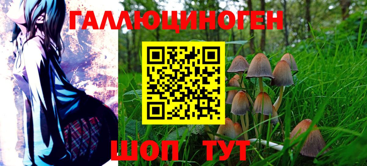 Галлюциногенные грибы Psilocybine cubensis Выкса