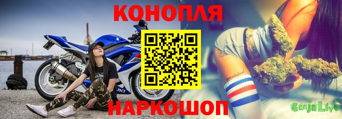 Каннабис OG Kush Выкса